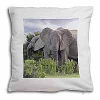 African Elephants Soft White Velvet Feel Scatter Cushion