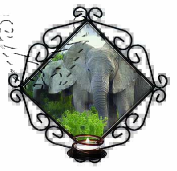 African Elephants Wrought Iron Wall Art Candle Holder