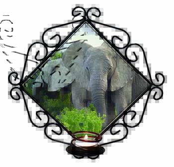 African Elephants Wrought Iron Wall Art Candle Holder