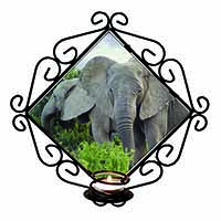 African Elephants Wrought Iron Wall Art Candle Holder