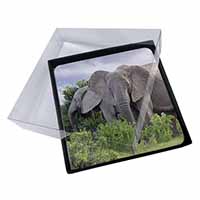 4x African Elephants Picture Table Coasters Set in Gift Box