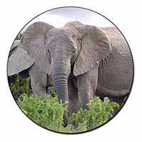African Elephants Fridge Magnet Printed Full Colour