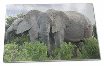 Large Glass Cutting Chopping Board African Elephants