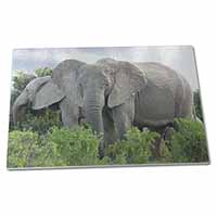 Large Glass Cutting Chopping Board African Elephants