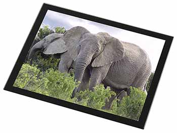 African Elephants Black Rim High Quality Glass Placemat