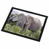 African Elephants Black Rim High Quality Glass Placemat