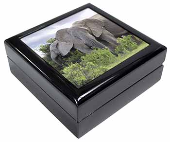 African Elephants Keepsake/Jewellery Box