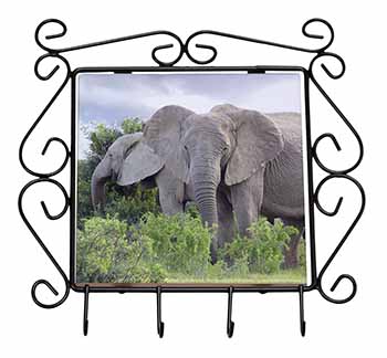 African Elephants Wrought Iron Key Holder Hooks