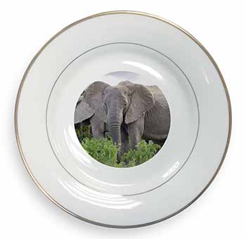 African Elephants Gold Rim Plate Printed Full Colour in Gift Box
