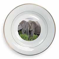 African Elephants Gold Rim Plate Printed Full Colour in Gift Box