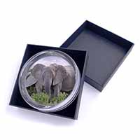 African Elephants Glass Paperweight in Gift Box