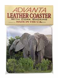 African Elephants Single Leather Photo Coaster
