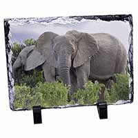 African Elephants, Stunning Photo Slate Printed Full Colour - Advanta Group®