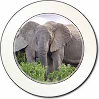 African Elephants Car or Van Permit Holder/Tax Disc Holder