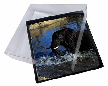 4x Elephant in Water Picture Table Coasters Set in Gift Box