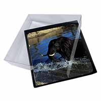 4x Elephant in Water Picture Table Coasters Set in Gift Box