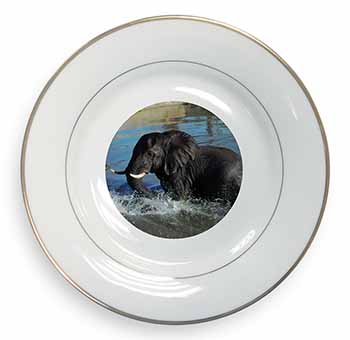 Elephant in Water Gold Rim Plate Printed Full Colour in Gift Box