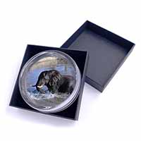 Elephant in Water Glass Paperweight in Gift Box