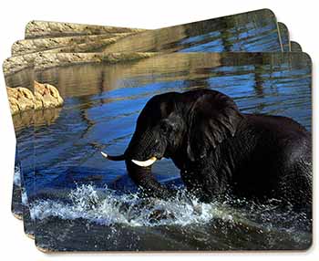 Elephant in Water Picture Placemats in Gift Box