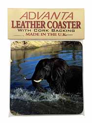 Elephant in Water Single Leather Photo Coaster