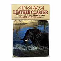 Elephant in Water Single Leather Photo Coaster