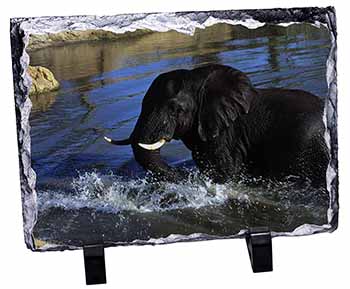 Elephant in Water, Stunning Photo Slate