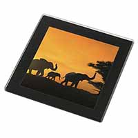 Elephants Silhouette Black Rim High Quality Glass Coaster