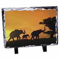 Elephants Silhouette, Stunning Photo Slate