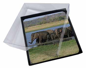 4x Herd of Elephants Picture Table Coasters Set in Gift Box