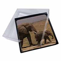 4x Elephant and Baby Tuskers Picture Table Coasters Set in Gift Box