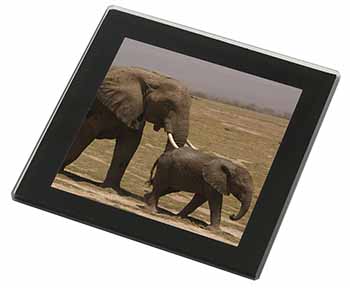 Elephant and Baby Tuskers Black Rim High Quality Glass Coaster