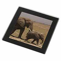 Elephant and Baby Tuskers Black Rim High Quality Glass Coaster