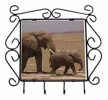Elephant and Baby Tuskers Wrought Iron Key Holder Hooks