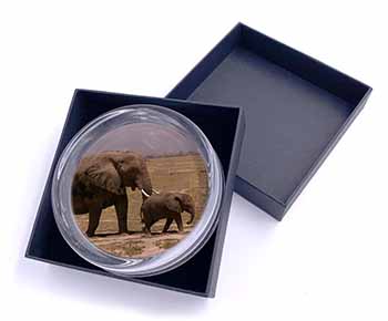 Elephant and Baby Tuskers Glass Paperweight in Gift Box