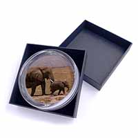 Elephant and Baby Tuskers Glass Paperweight in Gift Box