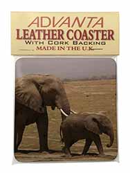 Elephant and Baby Tuskers Single Leather Photo Coaster
