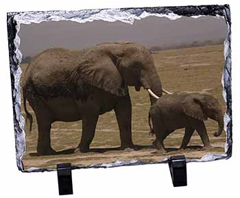 Elephant and Baby Tuskers, Stunning Photo Slate