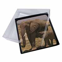 4x Elephant Feeding Baby Picture Table Coasters Set in Gift Box