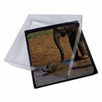 4x Elephant and Baby Bath Picture Table Coasters Set in Gift Box