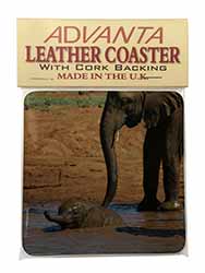 Elephant and Baby Bath Single Leather Photo Coaster