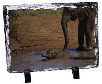 Elephant and Baby Bath, Stunning Photo Slate