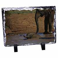 Elephant and Baby Bath, Stunning Photo Slate