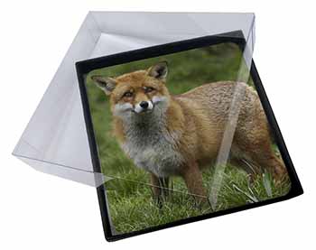 4x Red Fox Country Wildlife Picture Table Coasters Set in Gift Box
