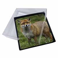 4x Red Fox Country Wildlife Picture Table Coasters Set in Gift Box