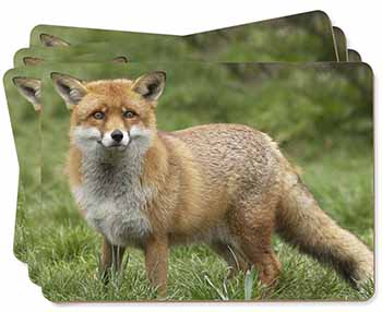 Red Fox Country Wildlife Picture Placemats in Gift Box
