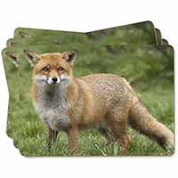 Red Fox Country Wildlife Picture Placemats in Gift Box