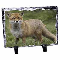 Red Fox Country Wildlife, Stunning Animal Photo Slate