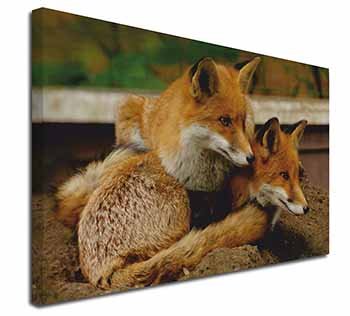 Cute Red Fox Cubs Canvas X-Large 30"x20" Wall Art Print