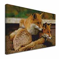 Cute Red Fox Cubs Canvas X-Large 30"x20" Wall Art Print