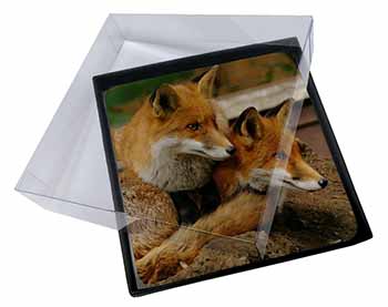 4x Cute Red Fox Cubs Picture Table Coasters Set in Gift Box